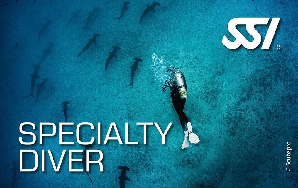 ¿Por qué dar el siguiente paso con un Specialty Diver?