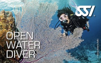Conviértete en Open Water Diver