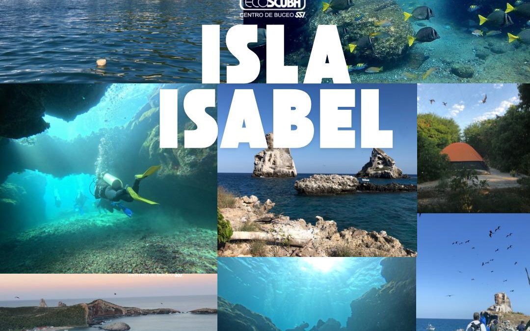 ¡Explora las maravillas submarinas de Isla Isabel, Nayarit!